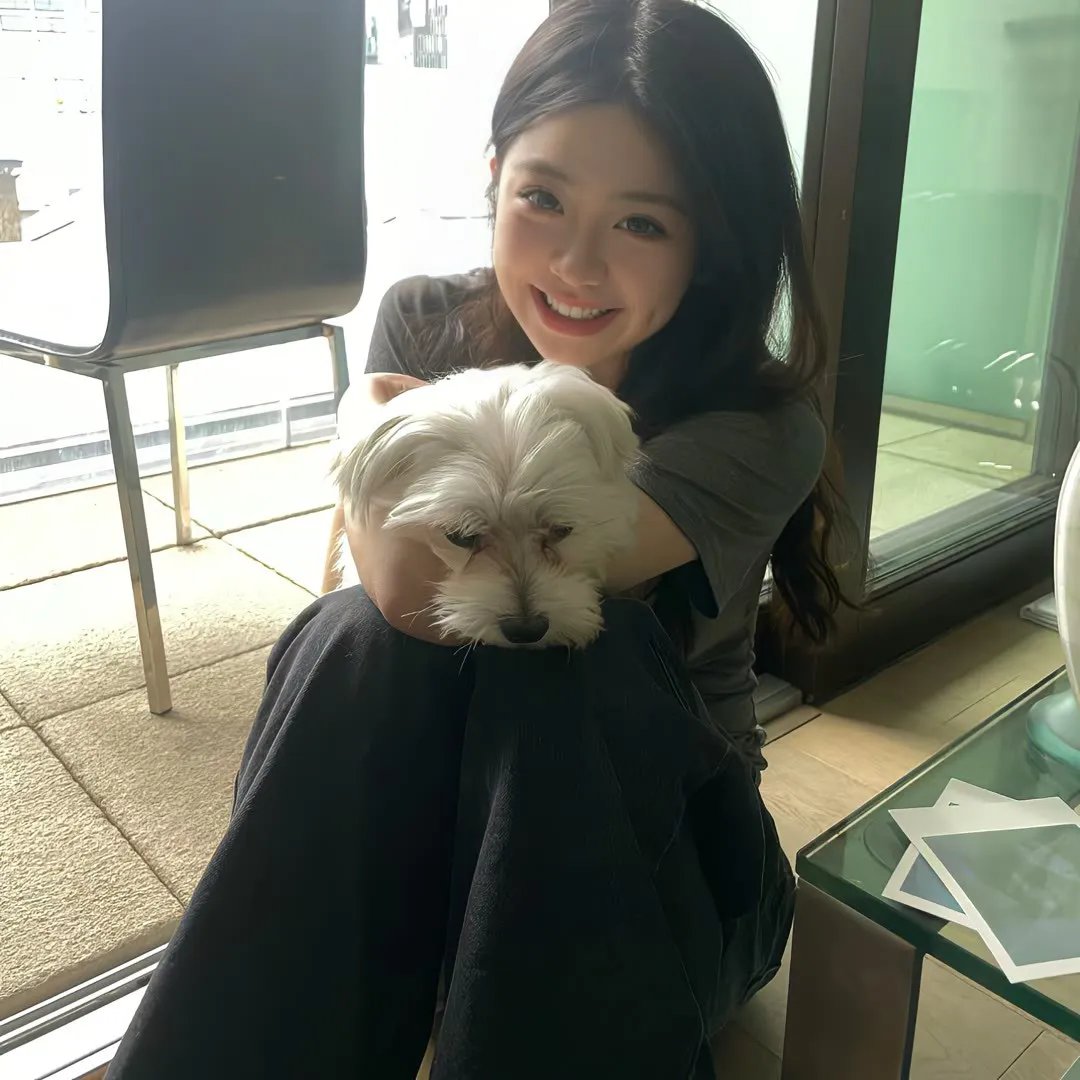熊猫月亮